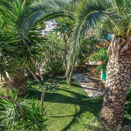 Olive Grove Apts Λιθακιά Εξωτερικό φωτογραφία