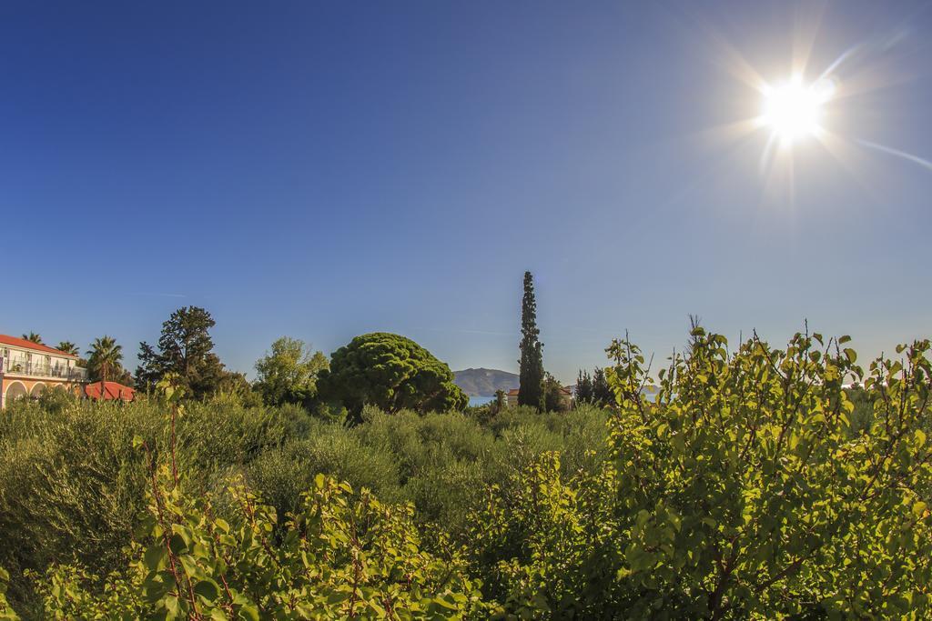 Olive Grove Apts Λιθακιά Δωμάτιο φωτογραφία