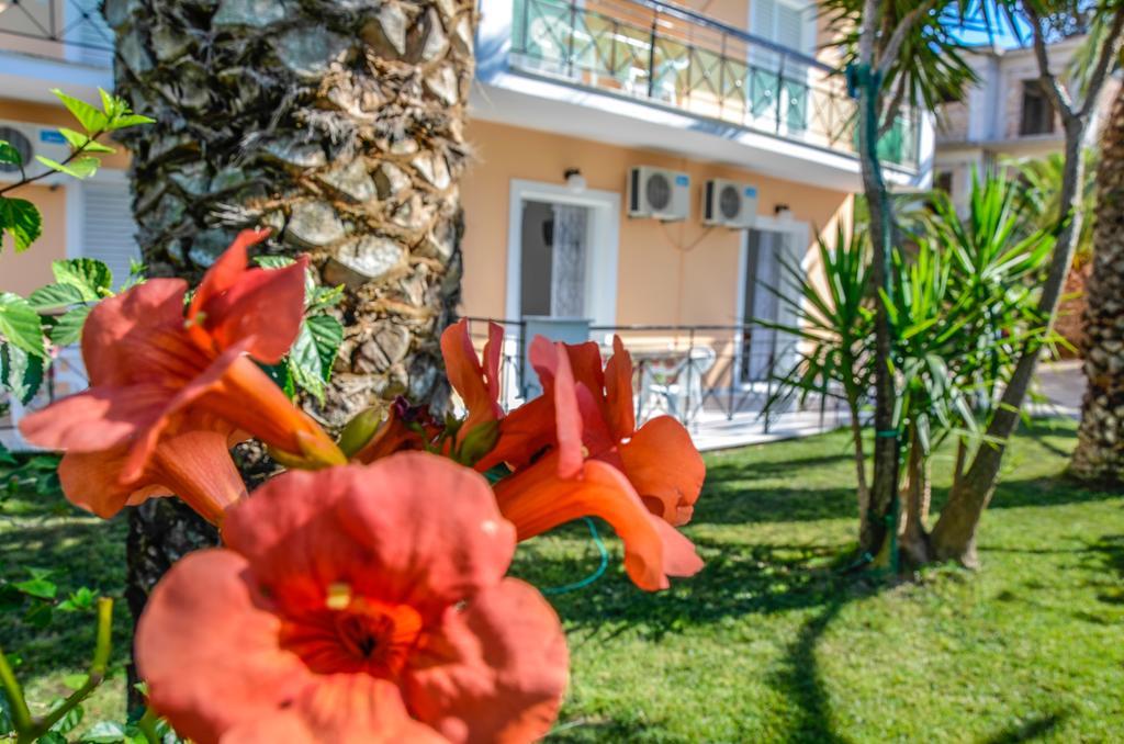 Olive Grove Apts Λιθακιά Εξωτερικό φωτογραφία