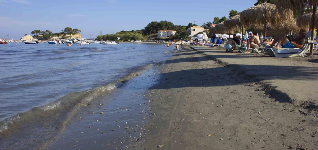 Olive Grove Apts Λιθακιά Εξωτερικό φωτογραφία
